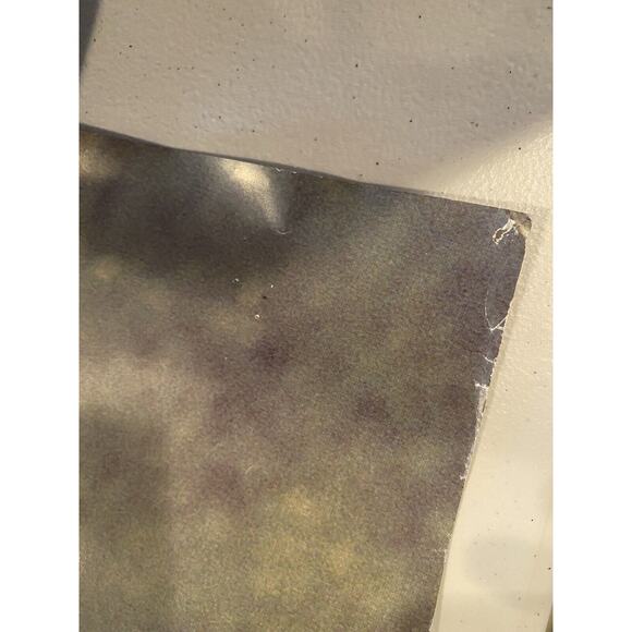 Mariah Carey Vintage 1990 Promo Debut Poster 25x48 Columbia Records RARE HTF - Picture 4 of 7